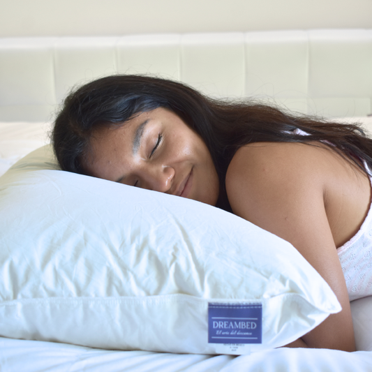 Nimbus – Almohada 100% Plumón de Pecho de Ganso